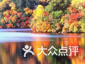 吃货小哥演绎“烧烤”芒果,在火炉上烤30秒钟,这操作“新奇”!